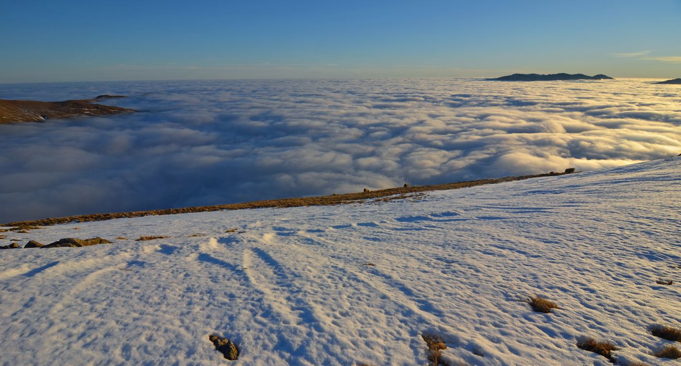 Seat Sandal